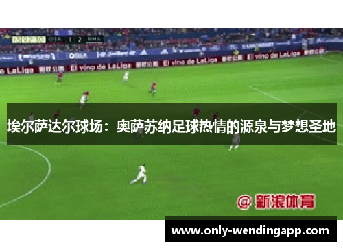埃尔萨达尔球场：奥萨苏纳足球热情的源泉与梦想圣地