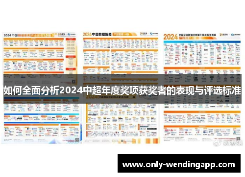 如何全面分析2024中超年度奖项获奖者的表现与评选标准