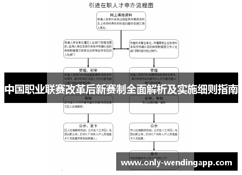 中国职业联赛改革后新赛制全面解析及实施细则指南