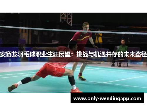 安赛龙羽毛球职业生涯展望：挑战与机遇并存的未来路径