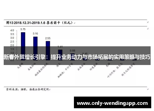 新春外贸增长引擎：提升业务动力与市场拓展的实用策略与技巧