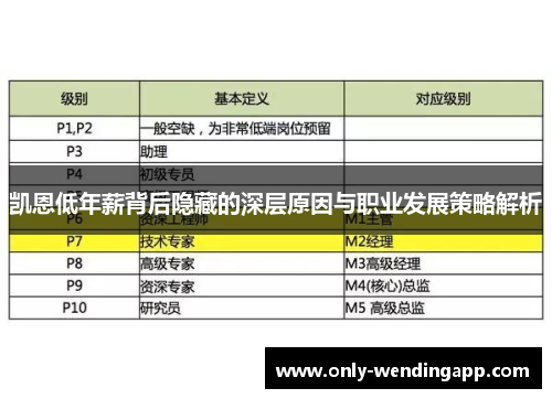 凯恩低年薪背后隐藏的深层原因与职业发展策略解析