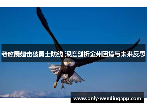 老鹰展翅击破勇士防线 深度剖析金州困境与未来反思