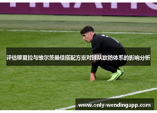 评估穆夏拉与维尔茨最佳搭配方案对球队攻防体系的影响分析
