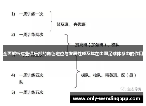 全面解析建业俱乐部的角色定位与发展性质及其在中国足球体系中的作用
