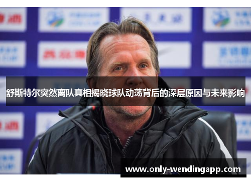 舒斯特尔突然离队真相揭晓球队动荡背后的深层原因与未来影响