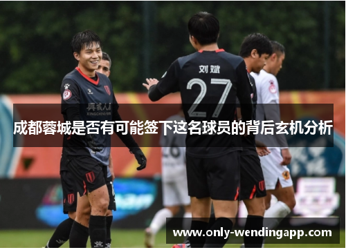 成都蓉城是否有可能签下这名球员的背后玄机分析