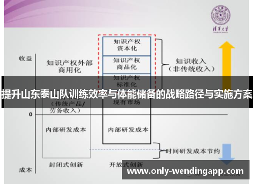 提升山东泰山队训练效率与体能储备的战略路径与实施方案