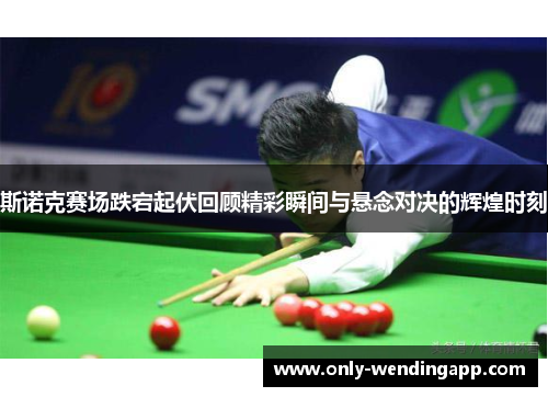 斯诺克赛场跌宕起伏回顾精彩瞬间与悬念对决的辉煌时刻